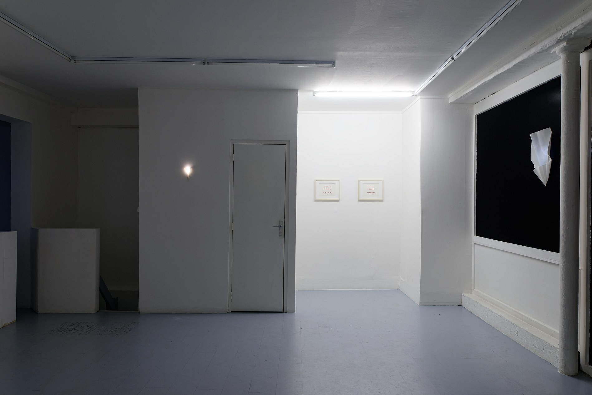Sowon Kwon, David Muenzer, Jeffrey Stuker, Saigon Immolation at Galerie Balice Hertling, photo 15