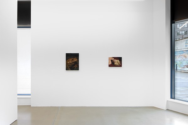 Image 4 of 10
