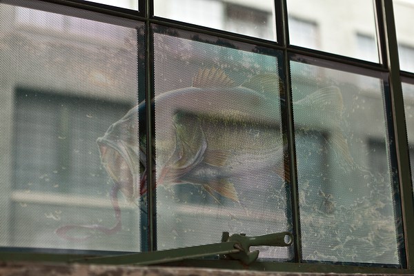 Image 14 of 24