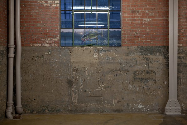 Image 20 of 24