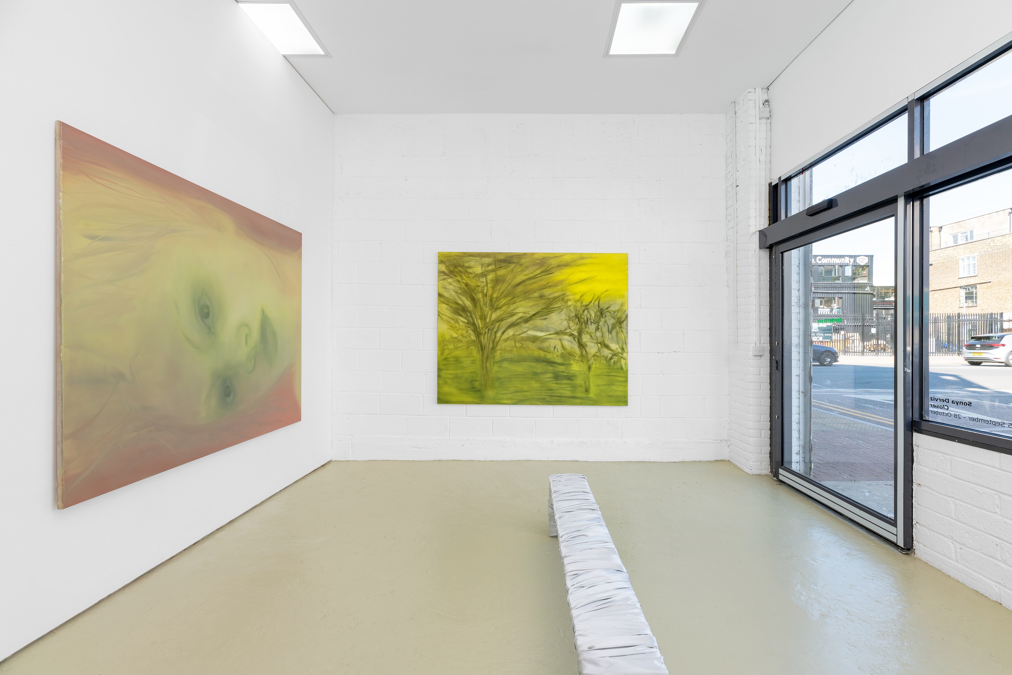 Sonya Derviz, Closer at Sherbet Green, photo 2