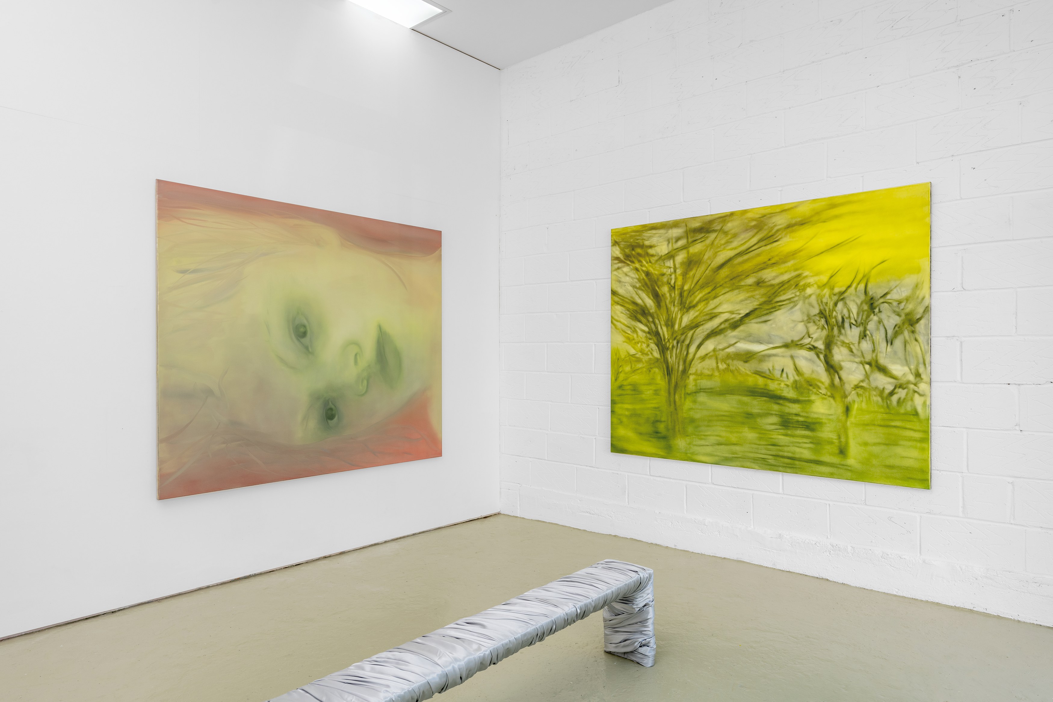 Sonya Derviz, Closer at Sherbet Green, photo 3