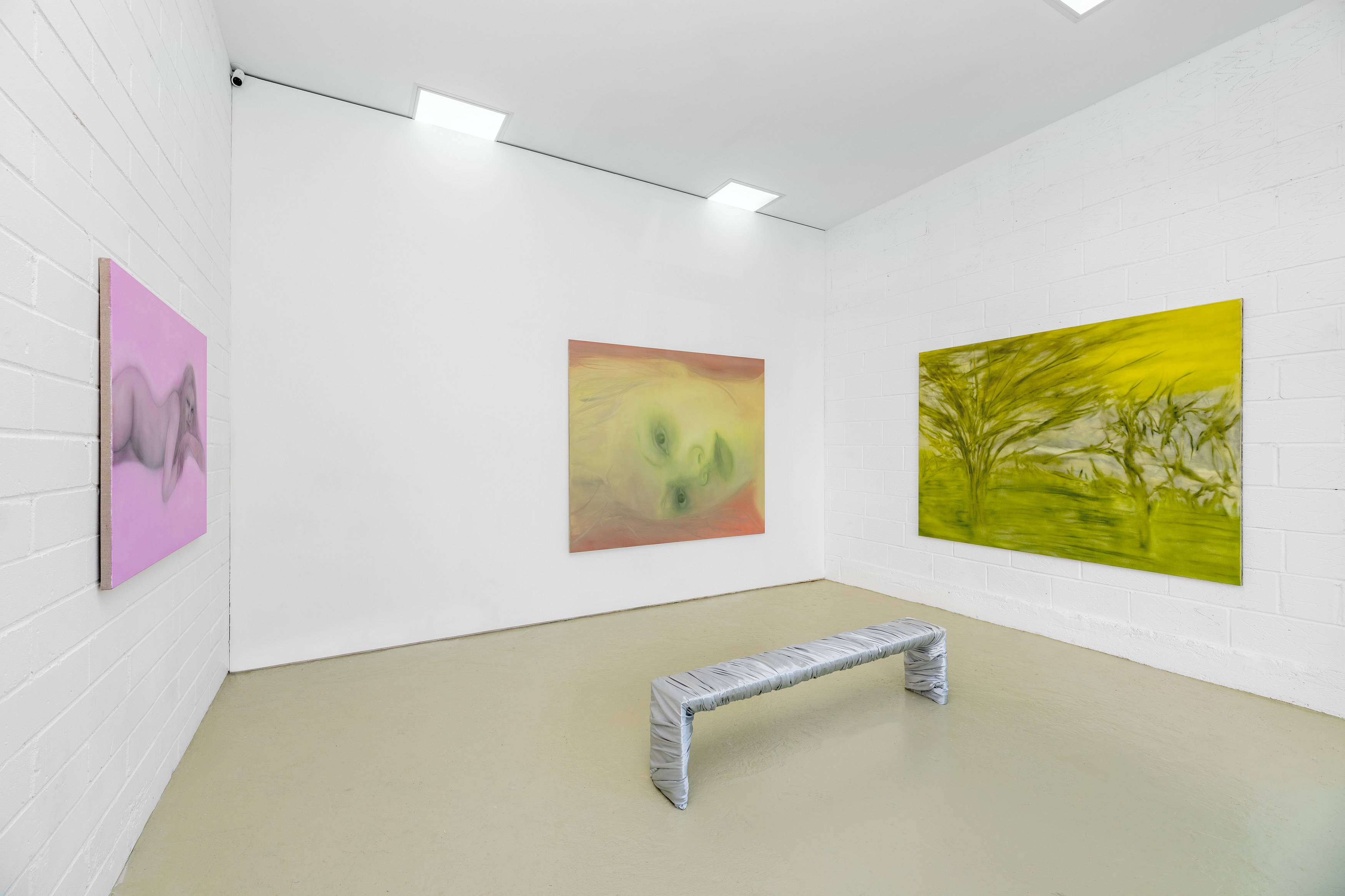 Sonya Derviz, Closer at Sherbet Green, photo 4