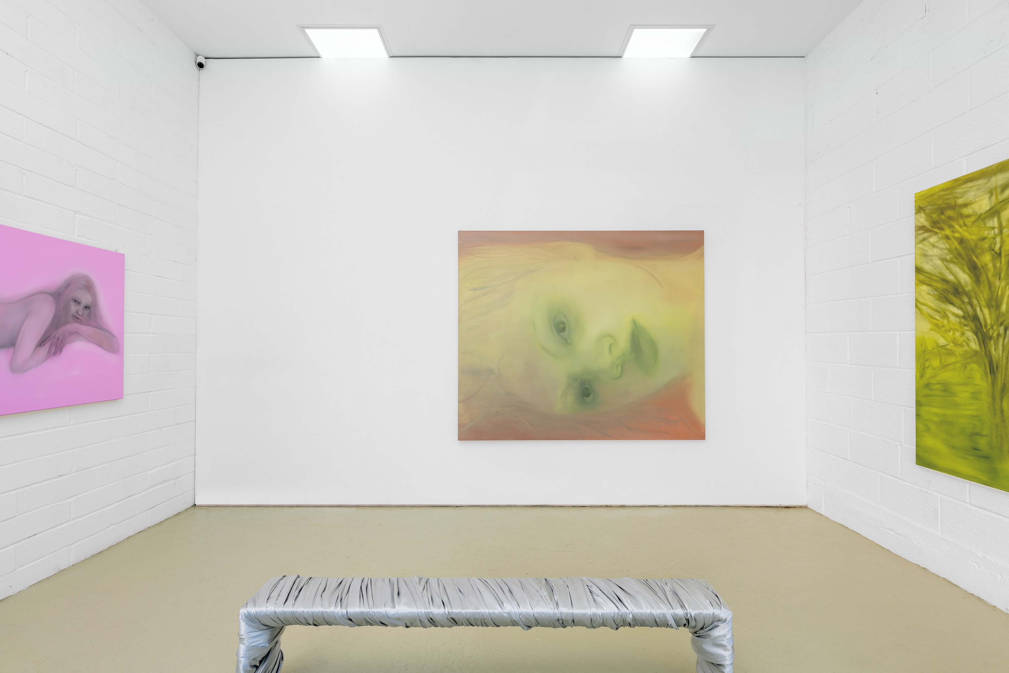 Sonya Derviz, Closer at Sherbet Green, photo 5