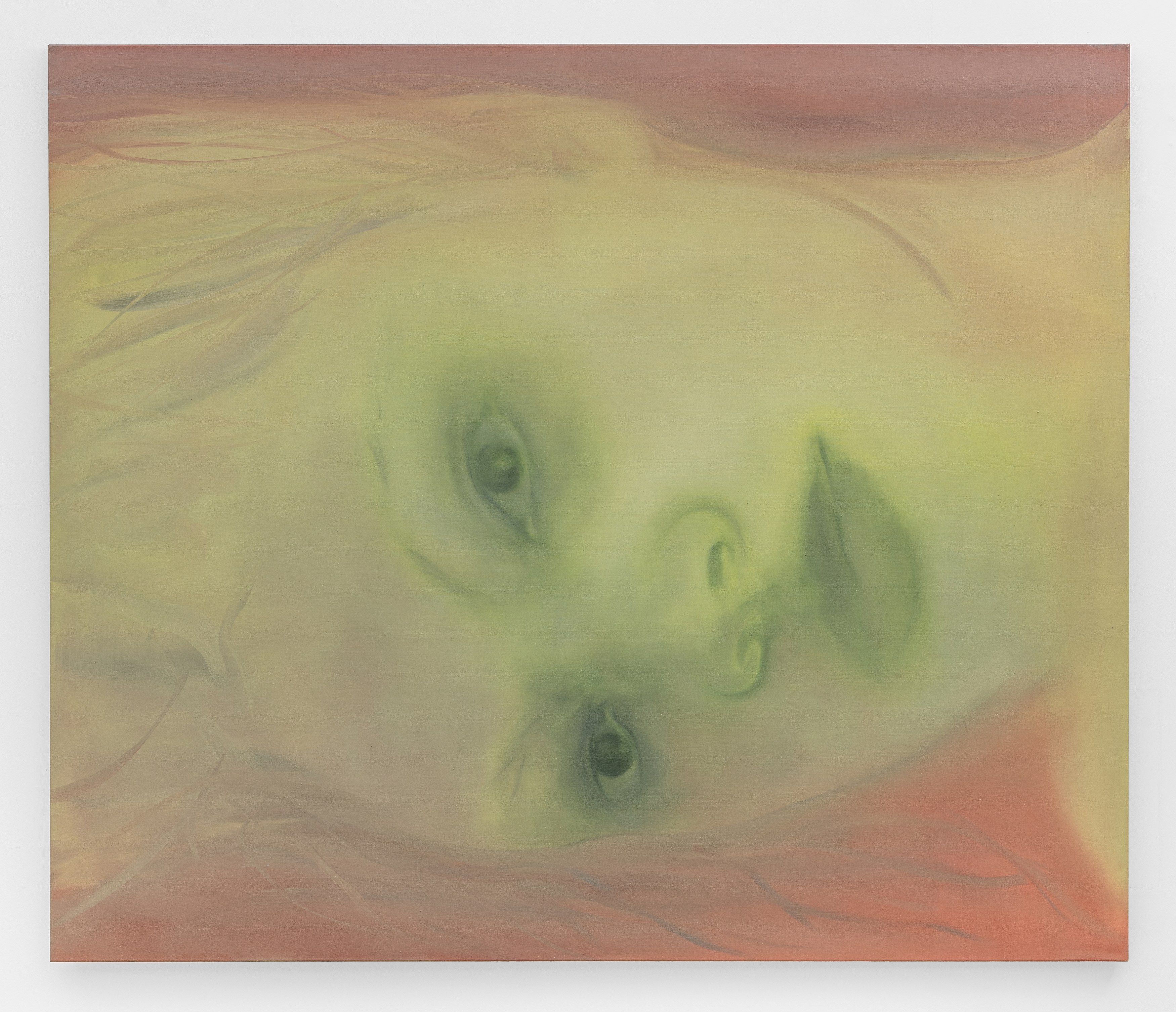 Sonya Derviz, Closer at Sherbet Green, photo 9