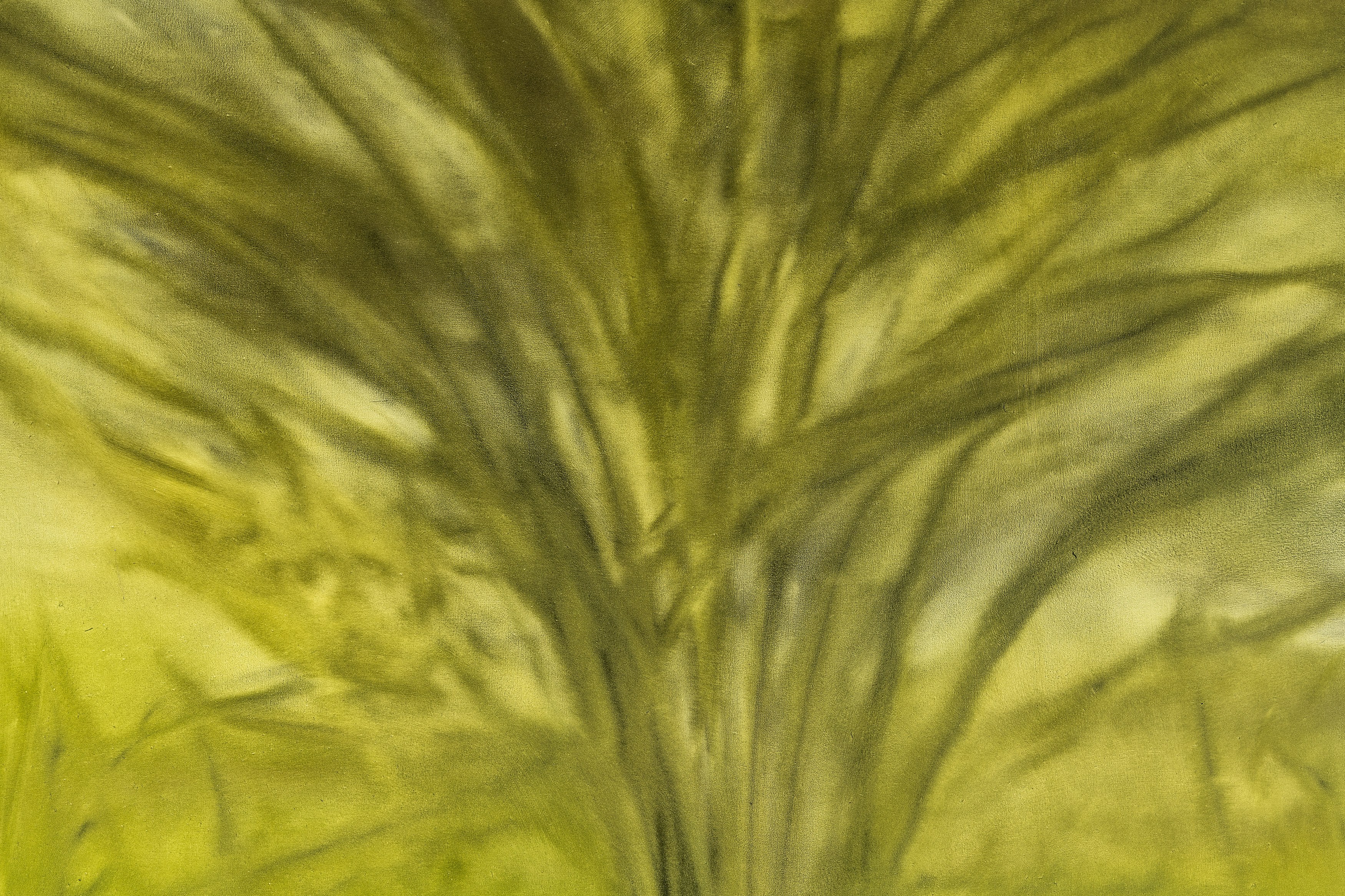 Sonya Derviz, Closer at Sherbet Green, photo 15