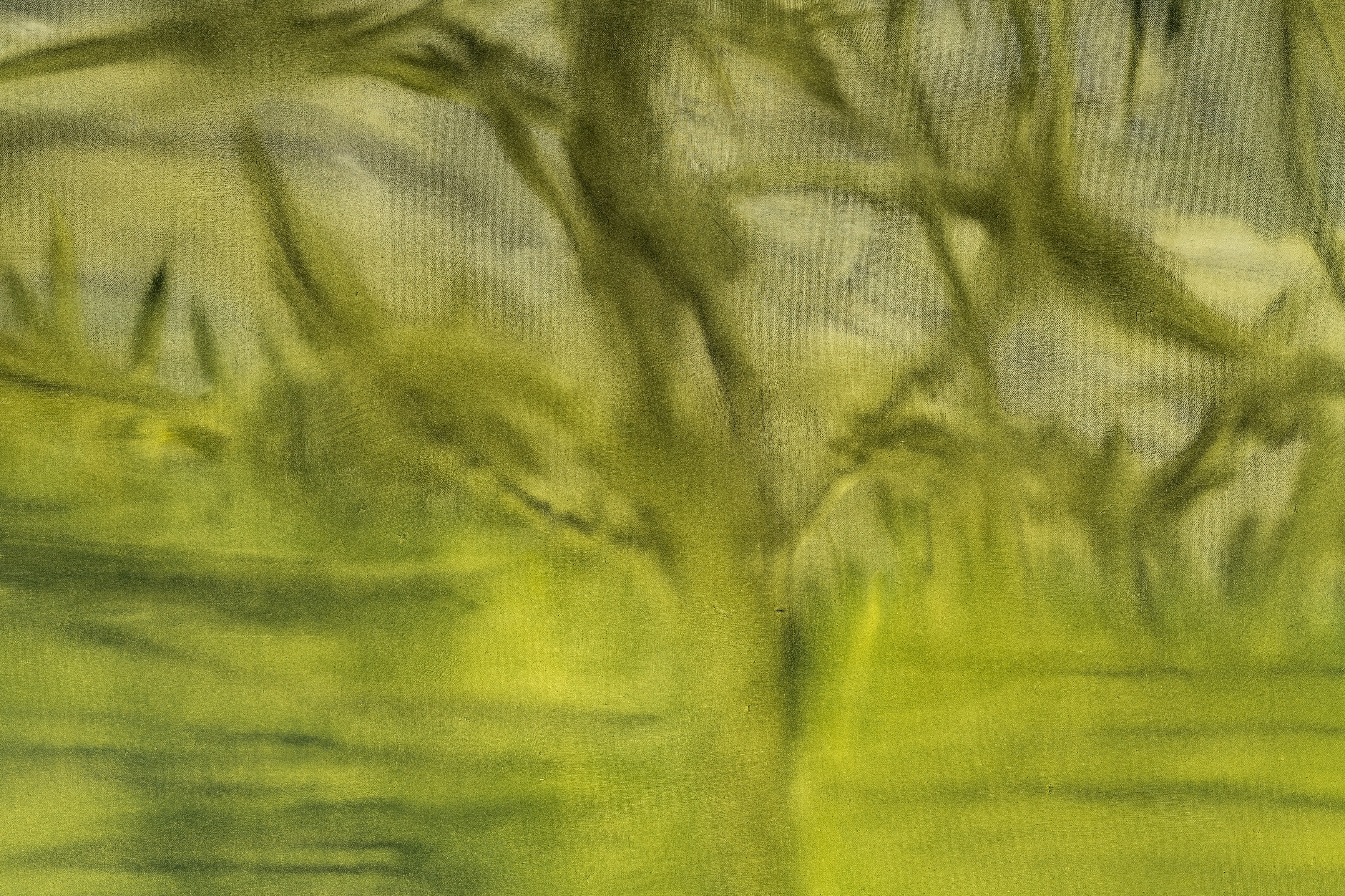 Sonya Derviz, Closer at Sherbet Green, photo 16