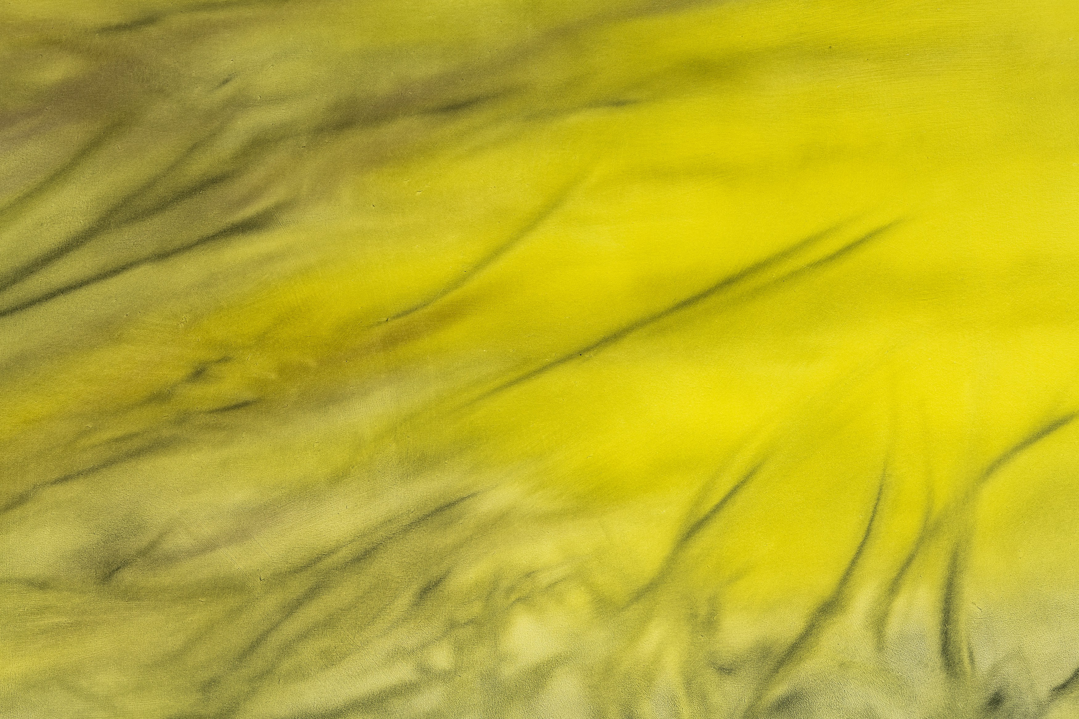 Sonya Derviz, Closer at Sherbet Green, photo 18