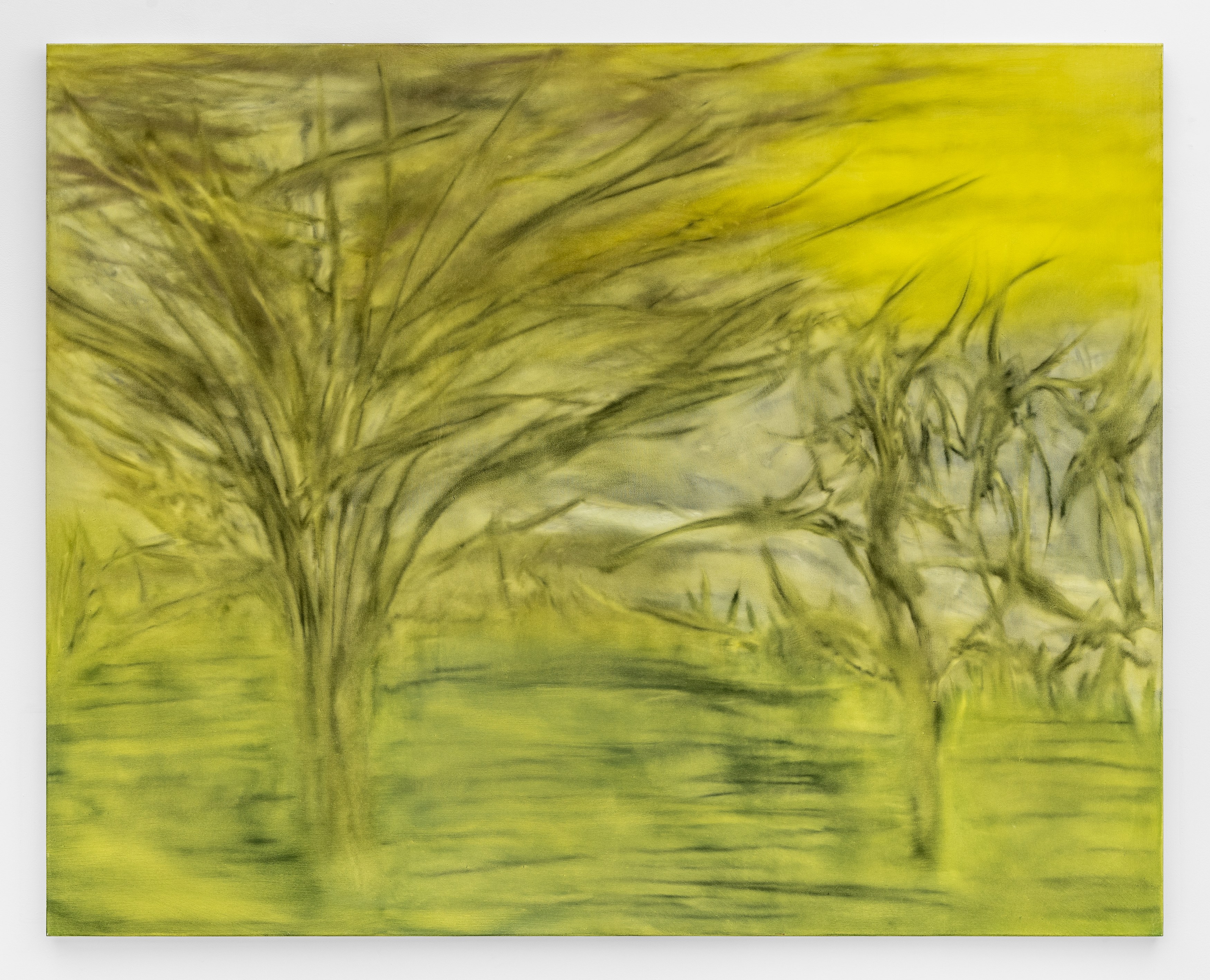 Sonya Derviz, Closer at Sherbet Green, photo 14