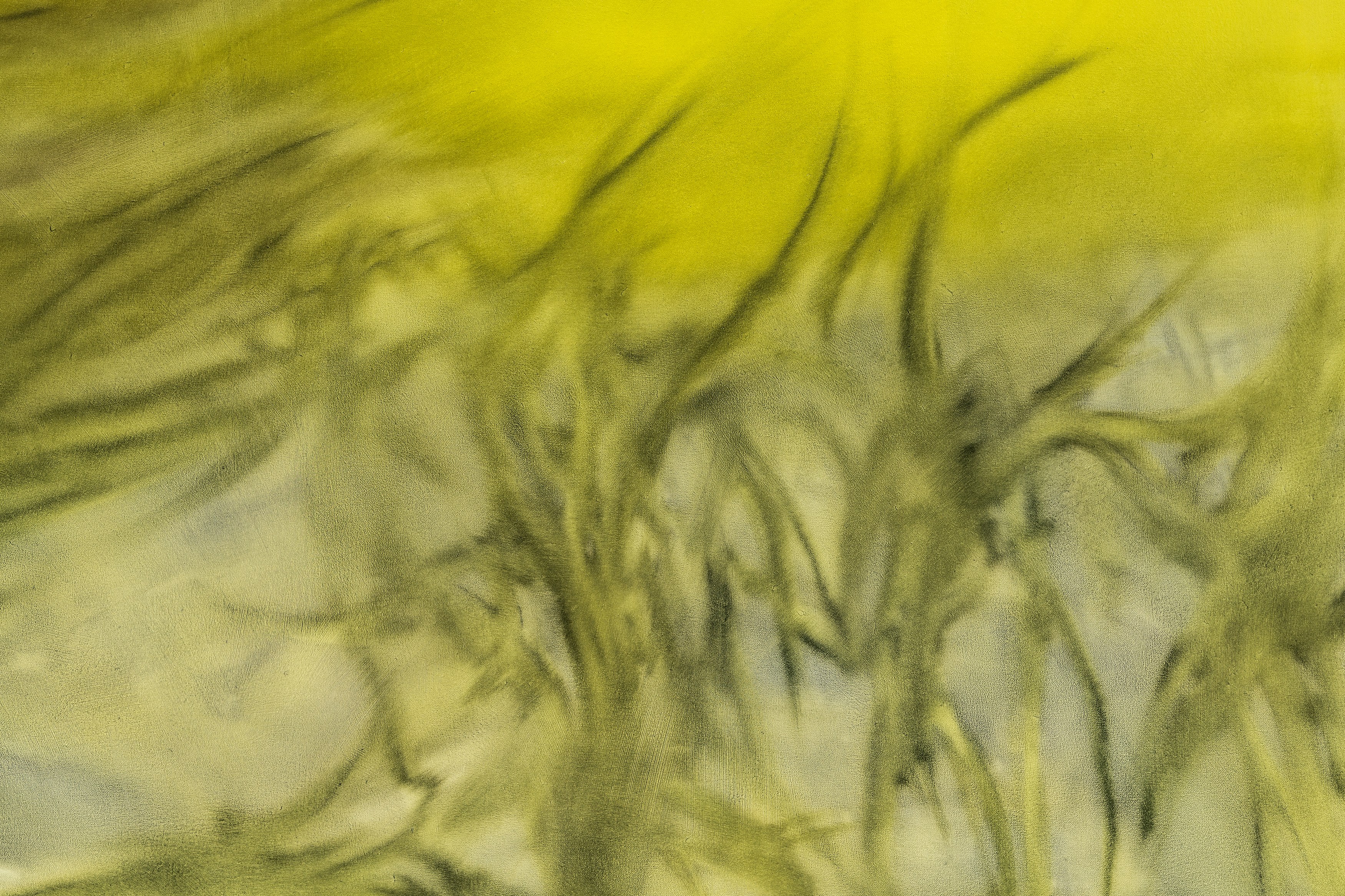 Sonya Derviz, Closer at Sherbet Green, photo 17