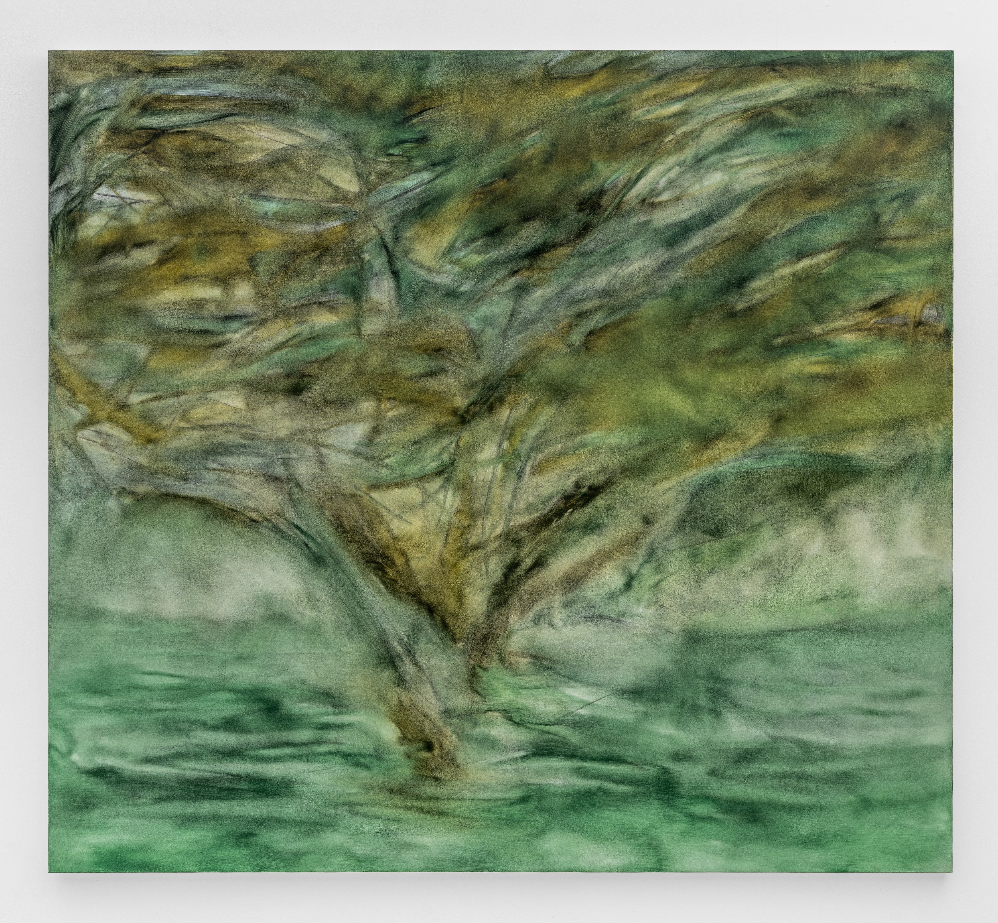 Sonya Derviz, Closer at Sherbet Green, photo 19