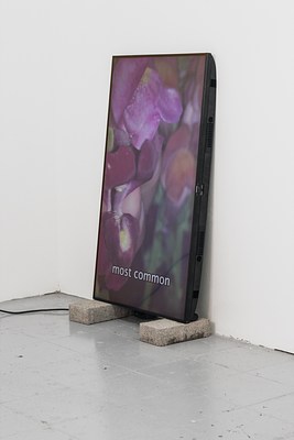 Image 8 of 14