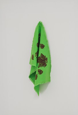 Image 11 of 14