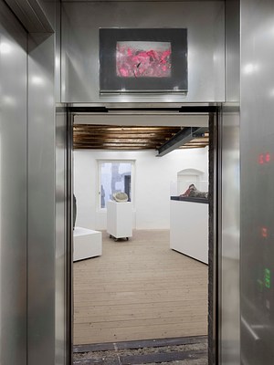 Image 6 of 19