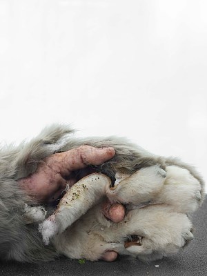 Image 18 of 19