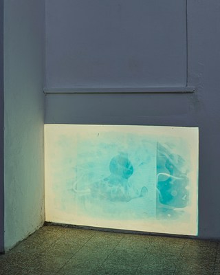 Image 10 of 10