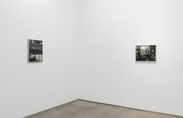 Image 7 of 24