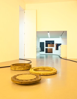 Image 7 of 24