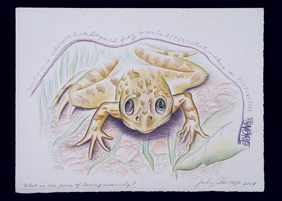 Image 12 of 12