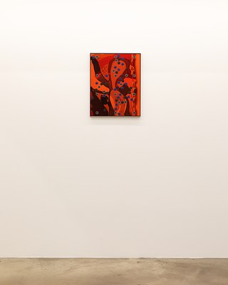 Image 10 of 41