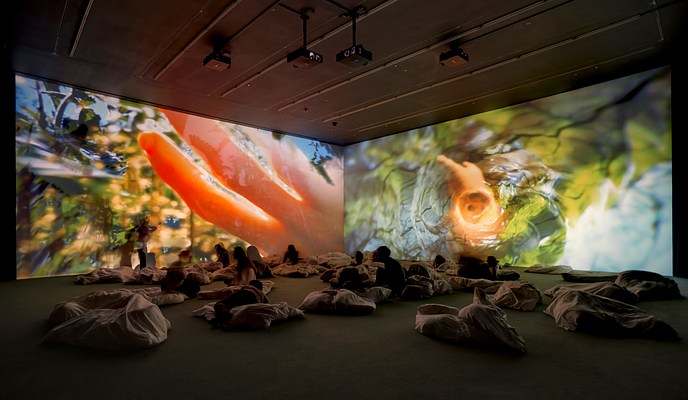 Pipilotti Rist - Hauser & Wirth