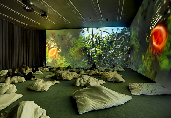 Pipilotti Rist - Hauser & Wirth