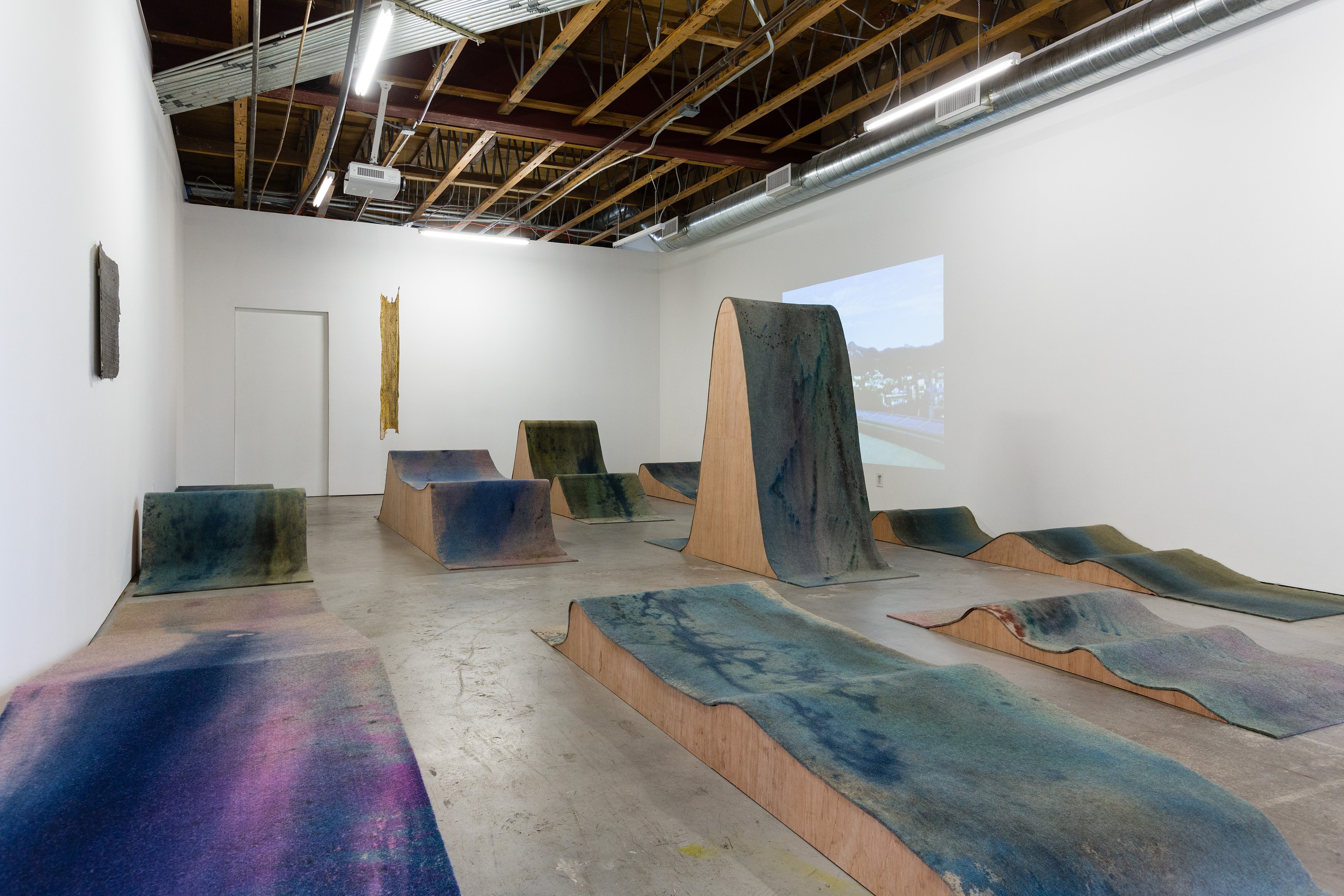 Heidi Bucher, Shimabuku, Phillip Zach, Supple Expansions at Freedman Fitzpatrick, photo 2