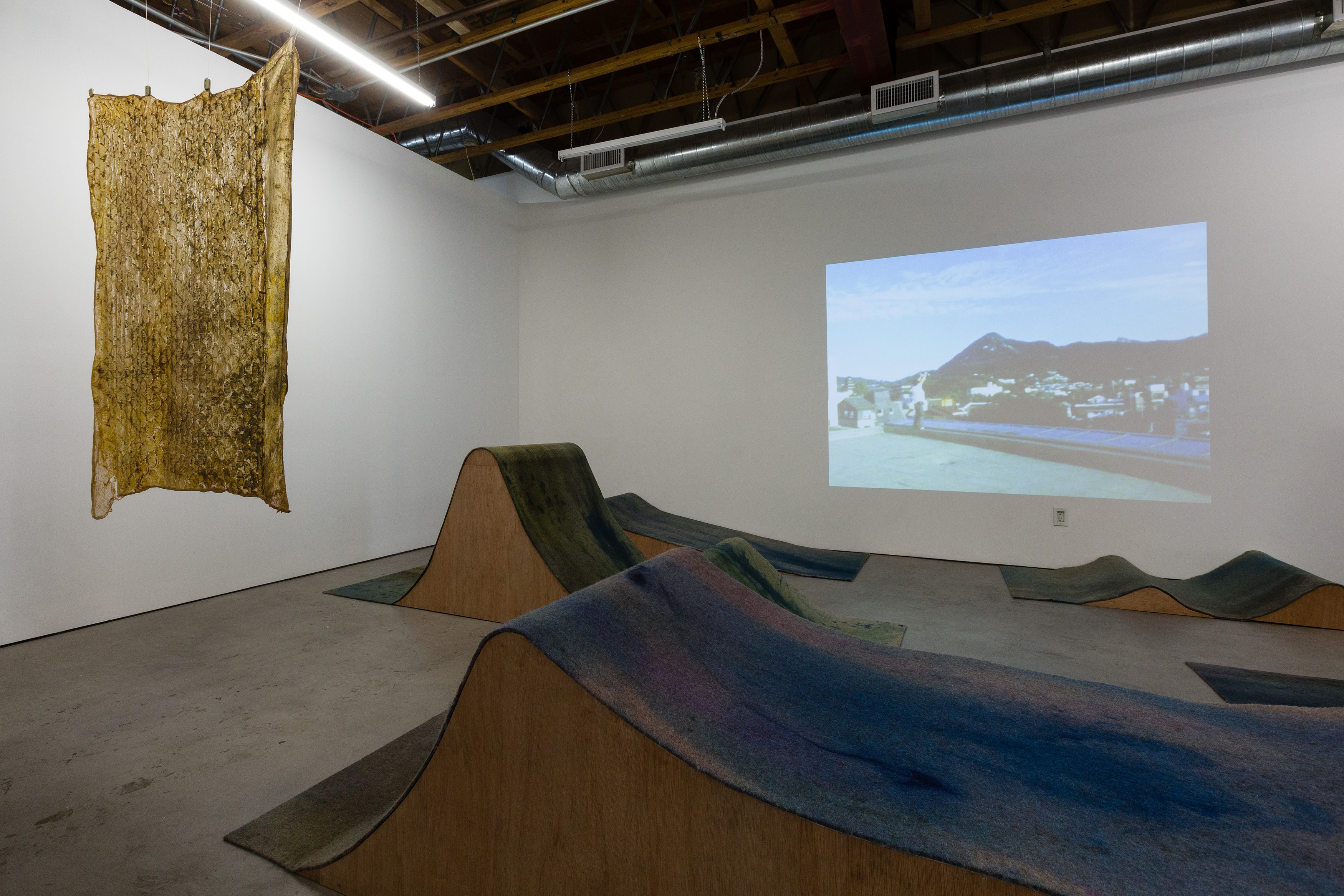 Heidi Bucher, Shimabuku, Phillip Zach, Supple Expansions at Freedman Fitzpatrick, photo 3