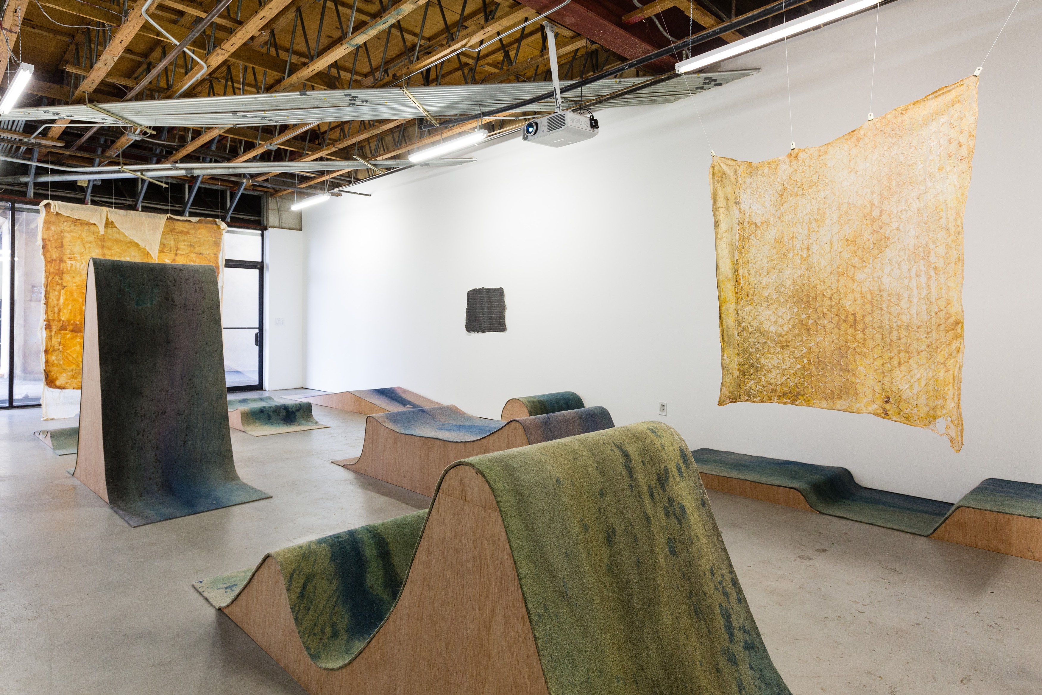 Heidi Bucher, Shimabuku, Phillip Zach, Supple Expansions at Freedman Fitzpatrick, photo 5