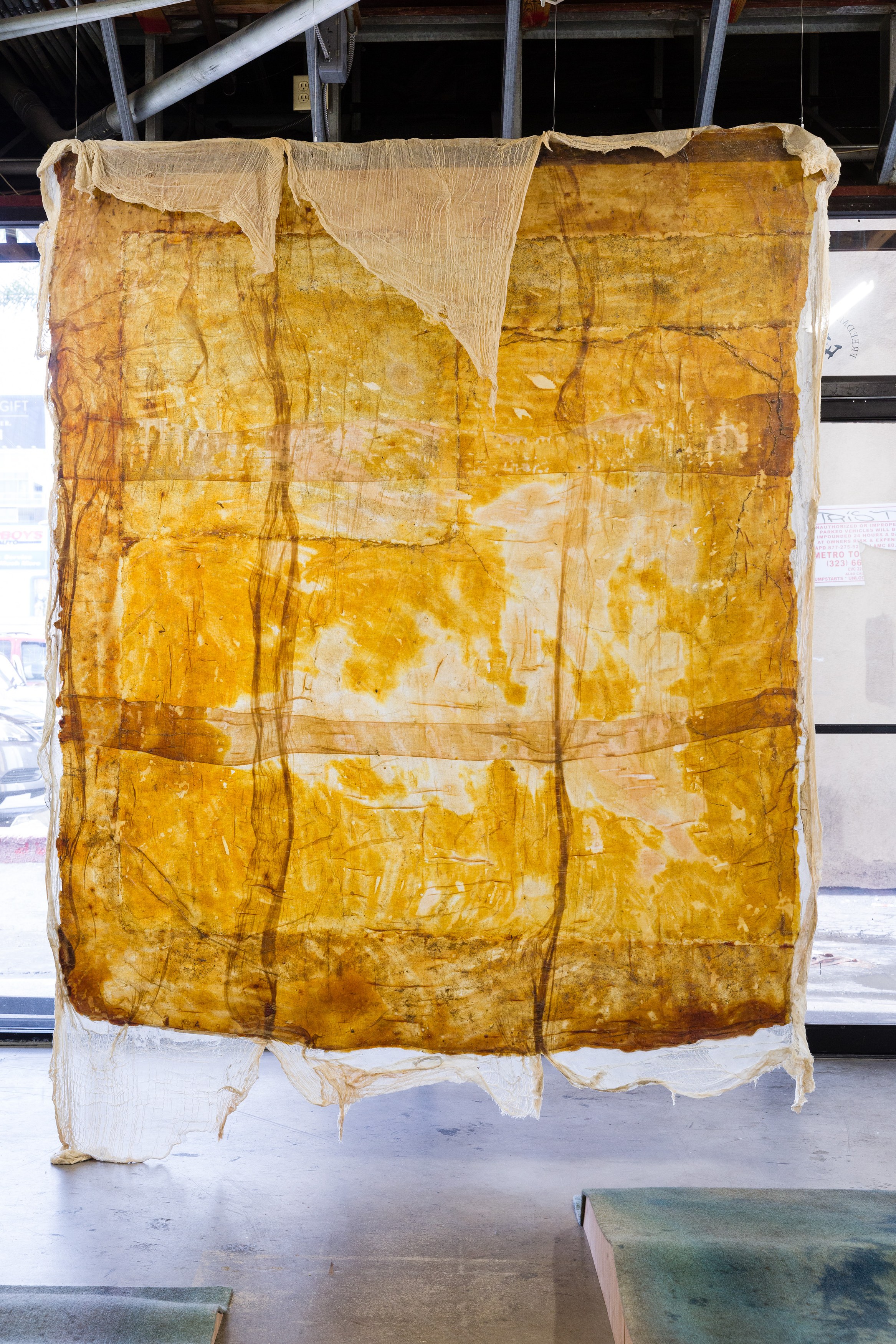Heidi Bucher, Shimabuku, Phillip Zach, Supple Expansions at Freedman Fitzpatrick, photo 8