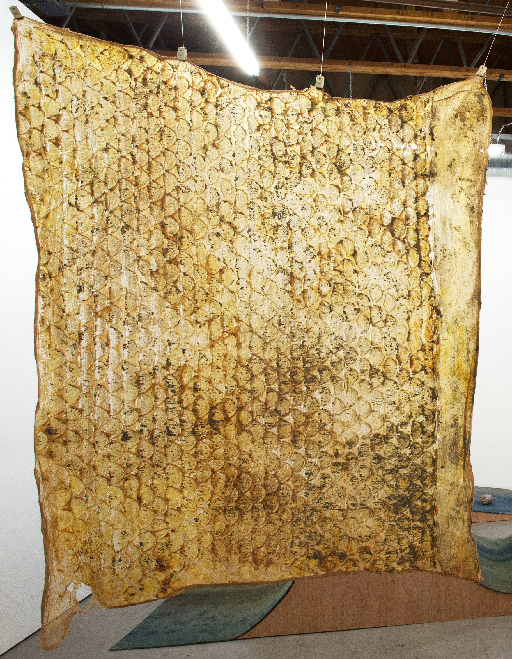 Heidi Bucher, Shimabuku, Phillip Zach, Supple Expansions at Freedman Fitzpatrick, photo 9