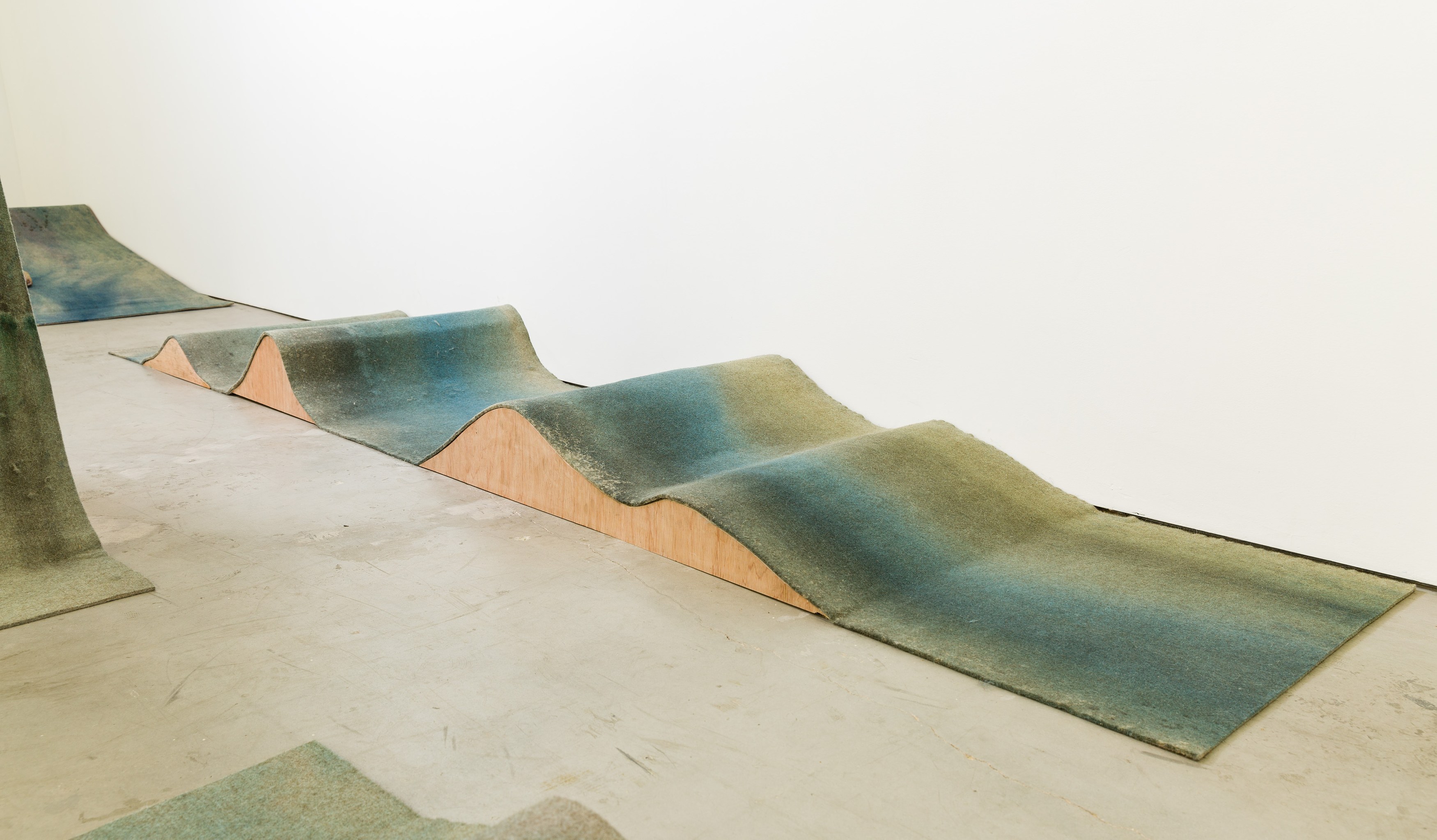 Heidi Bucher, Shimabuku, Phillip Zach, Supple Expansions at Freedman Fitzpatrick, photo 13