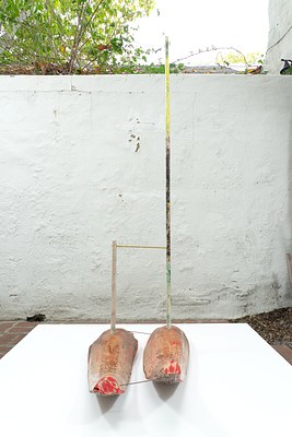 Image 7 of 35
