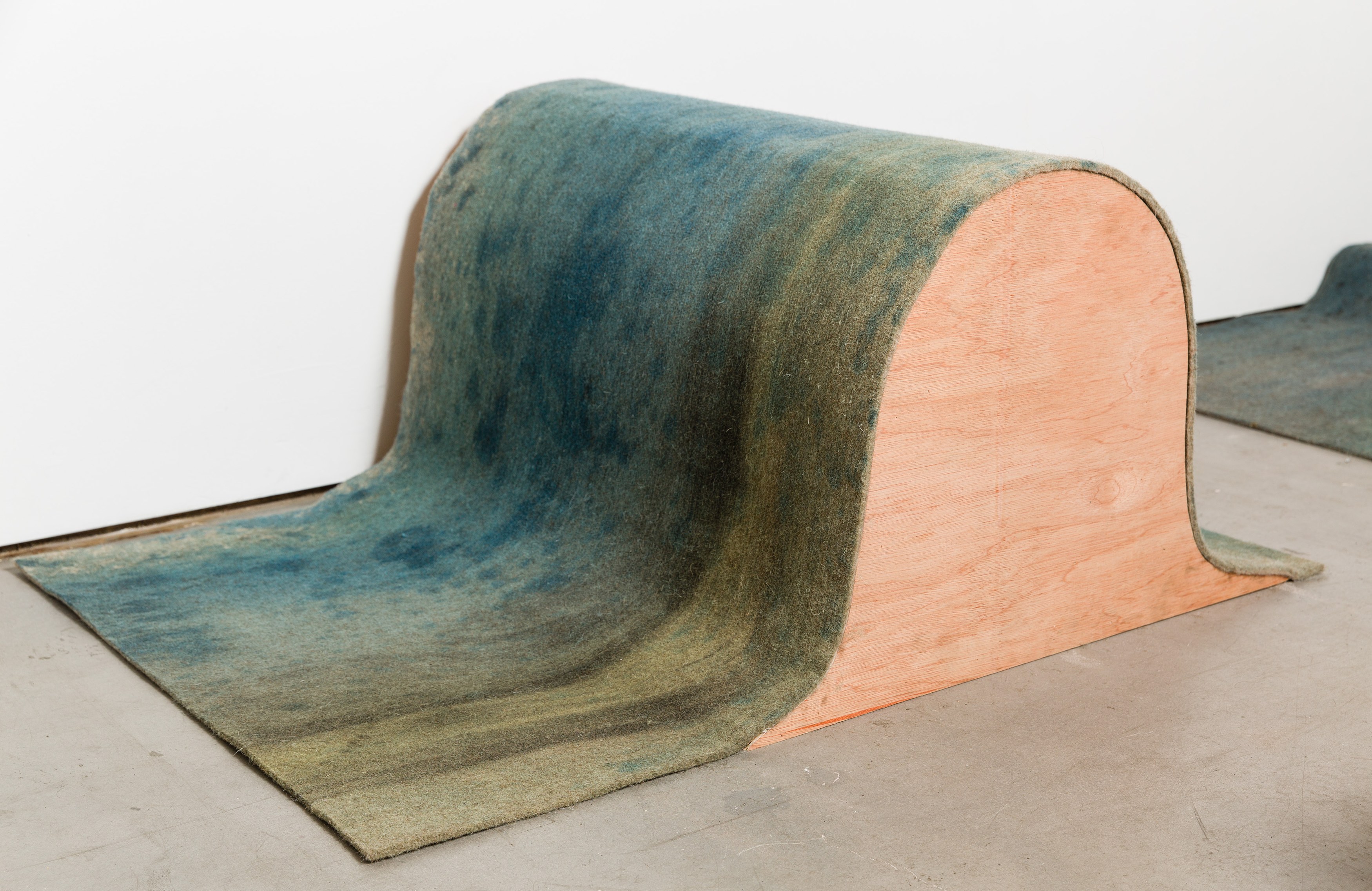 Heidi Bucher, Shimabuku, Phillip Zach, Supple Expansions at Freedman Fitzpatrick, photo 19