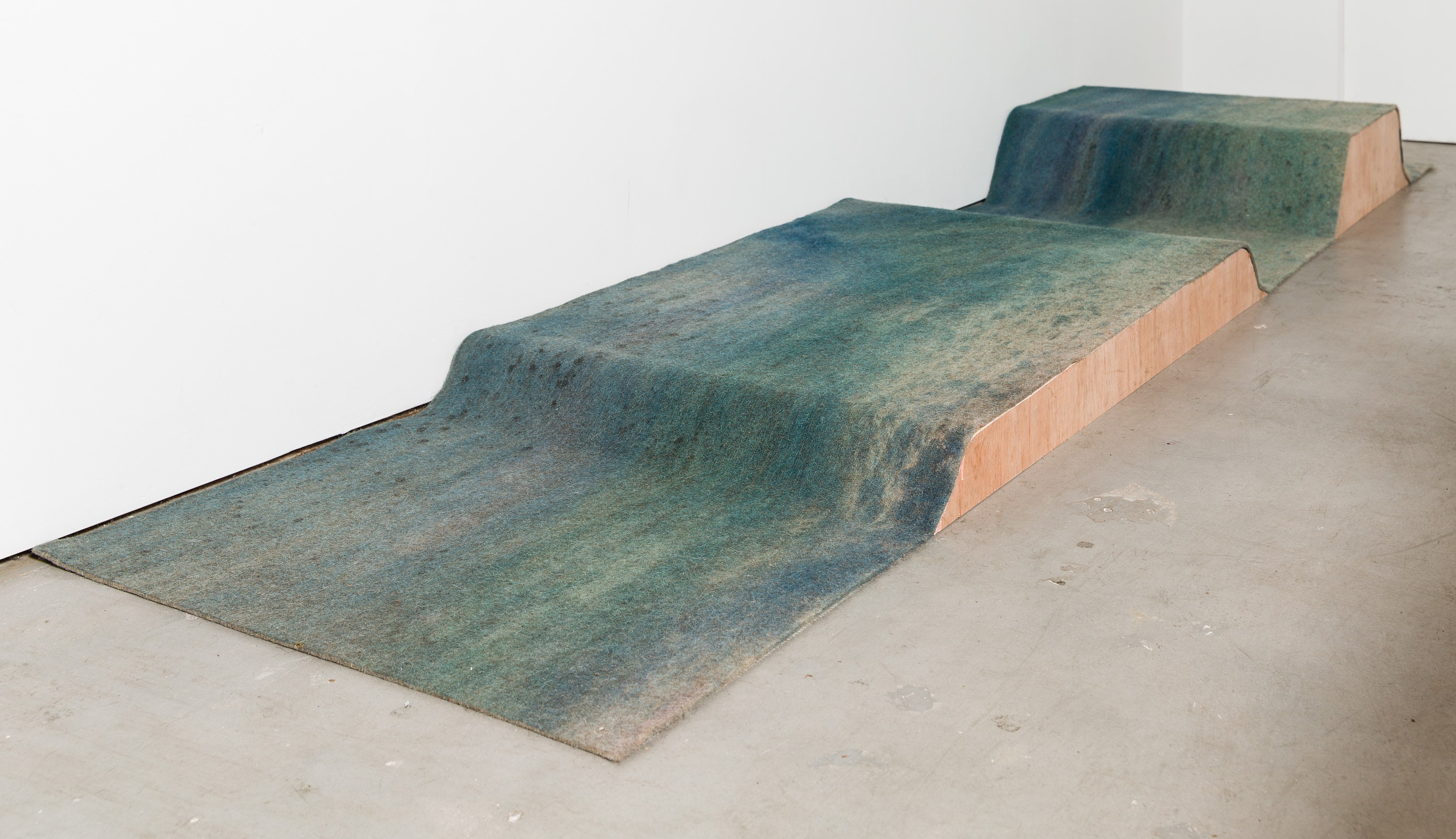 Heidi Bucher, Shimabuku, Phillip Zach, Supple Expansions at Freedman Fitzpatrick, photo 20