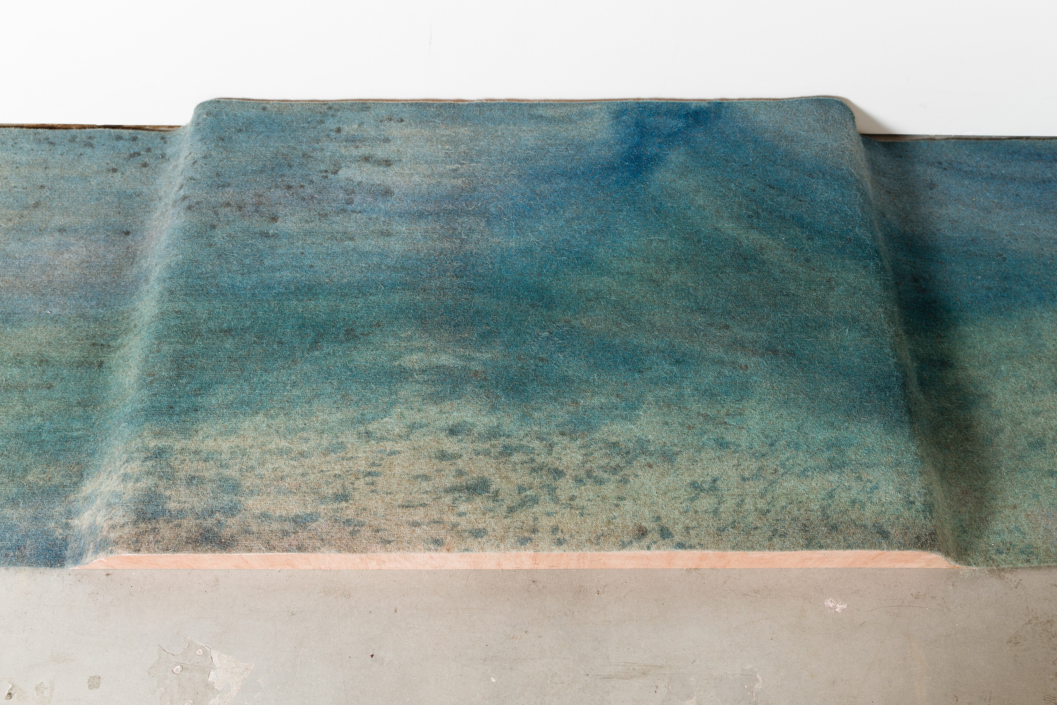 Heidi Bucher, Shimabuku, Phillip Zach, Supple Expansions at Freedman Fitzpatrick, photo 22