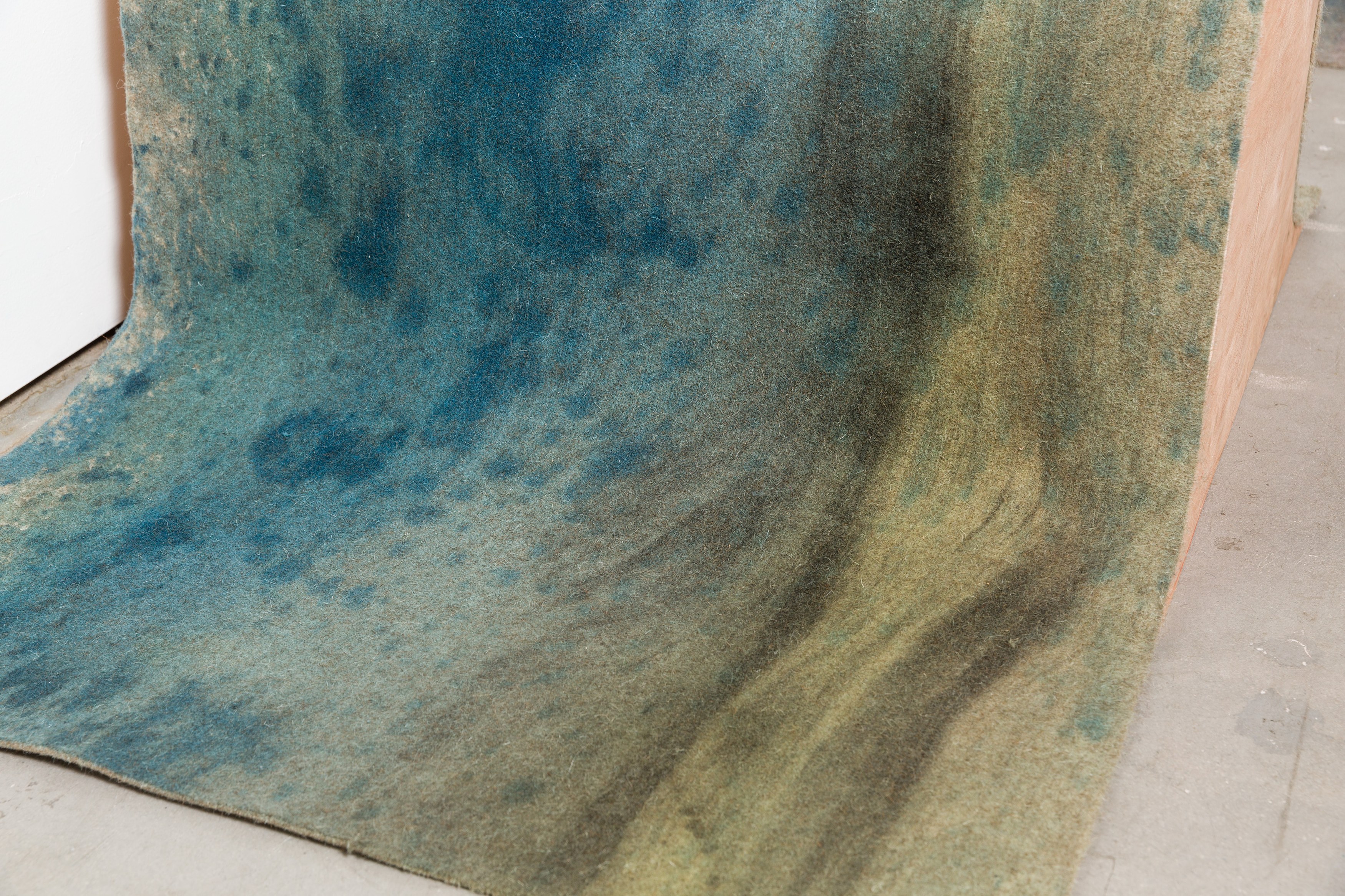 Heidi Bucher, Shimabuku, Phillip Zach, Supple Expansions at Freedman Fitzpatrick, photo 23
