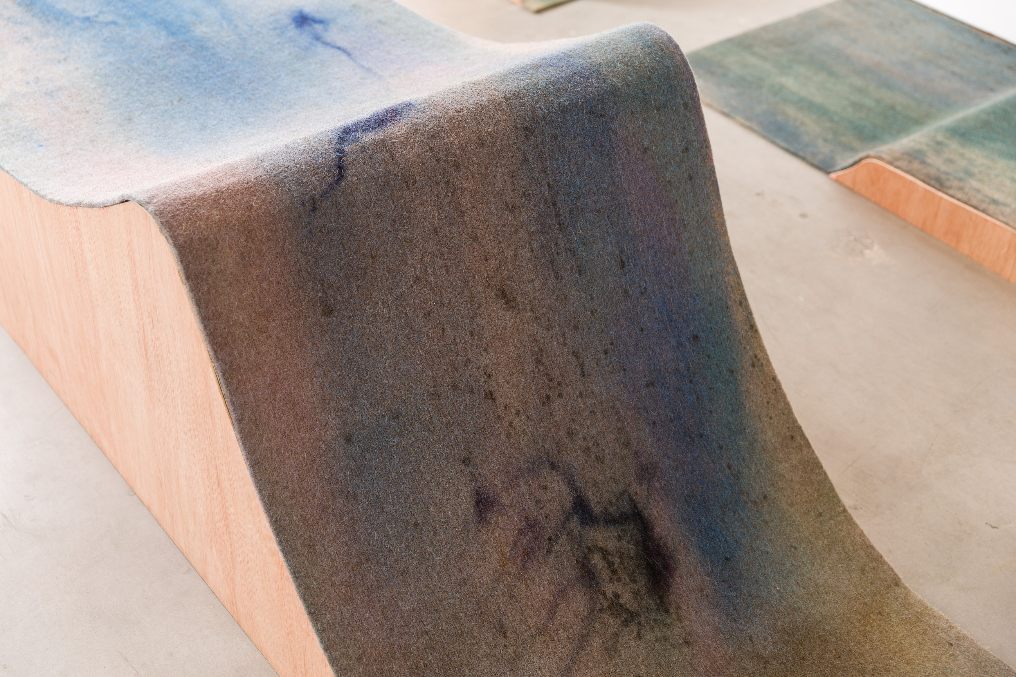 Heidi Bucher, Shimabuku, Phillip Zach, Supple Expansions at Freedman Fitzpatrick, photo 25