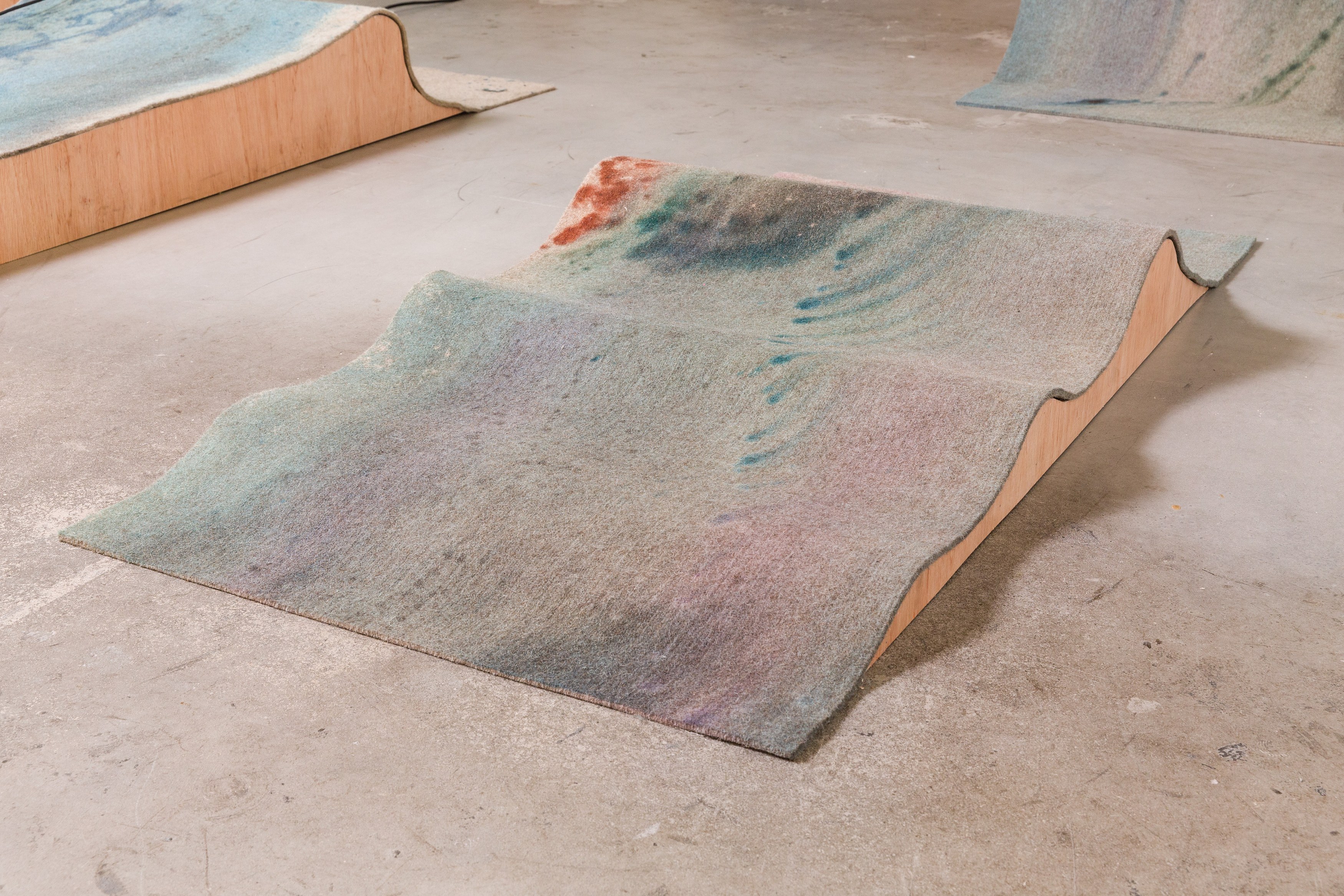 Heidi Bucher, Shimabuku, Phillip Zach, Supple Expansions at Freedman Fitzpatrick, photo 26