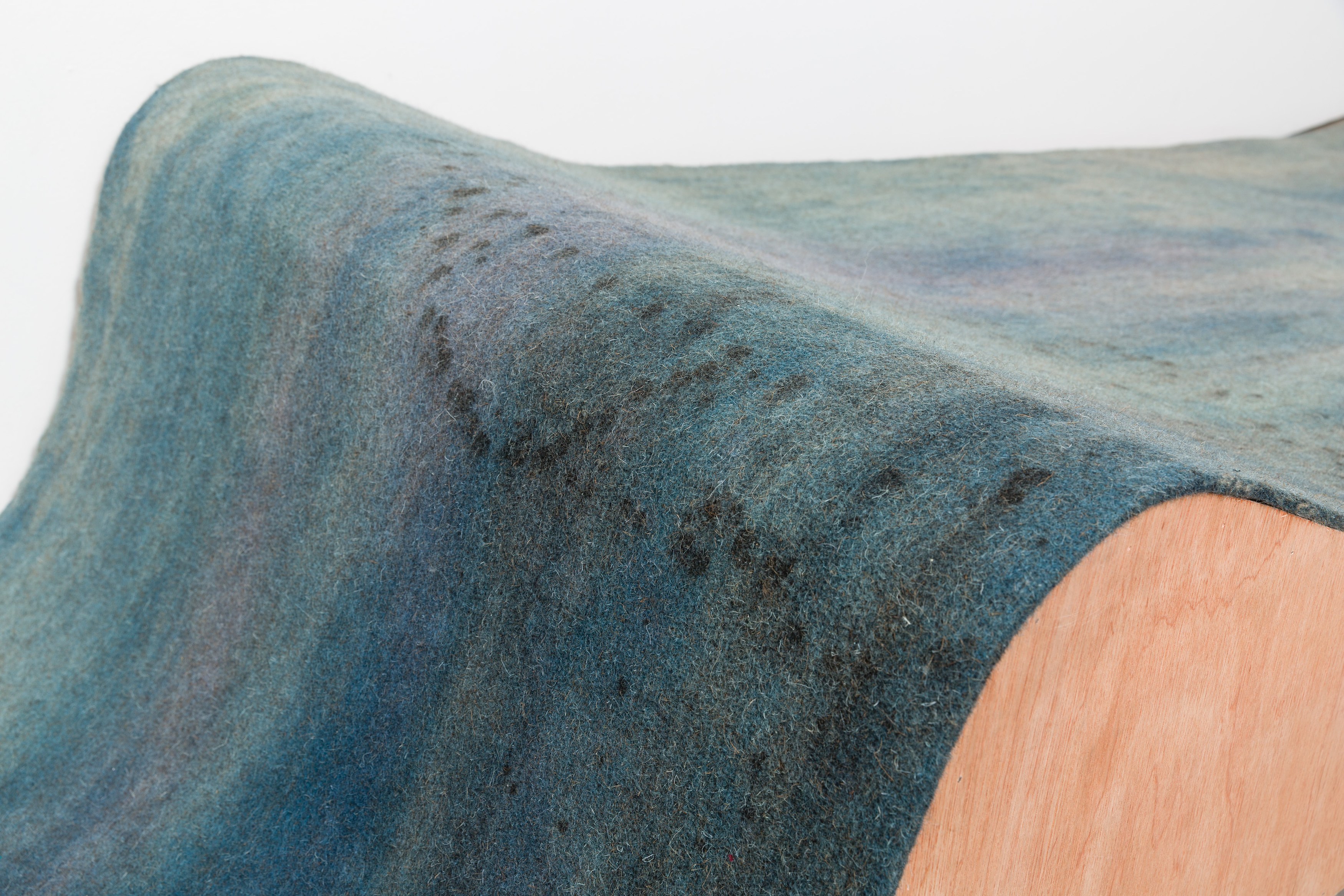 Heidi Bucher, Shimabuku, Phillip Zach, Supple Expansions at Freedman Fitzpatrick, photo 35