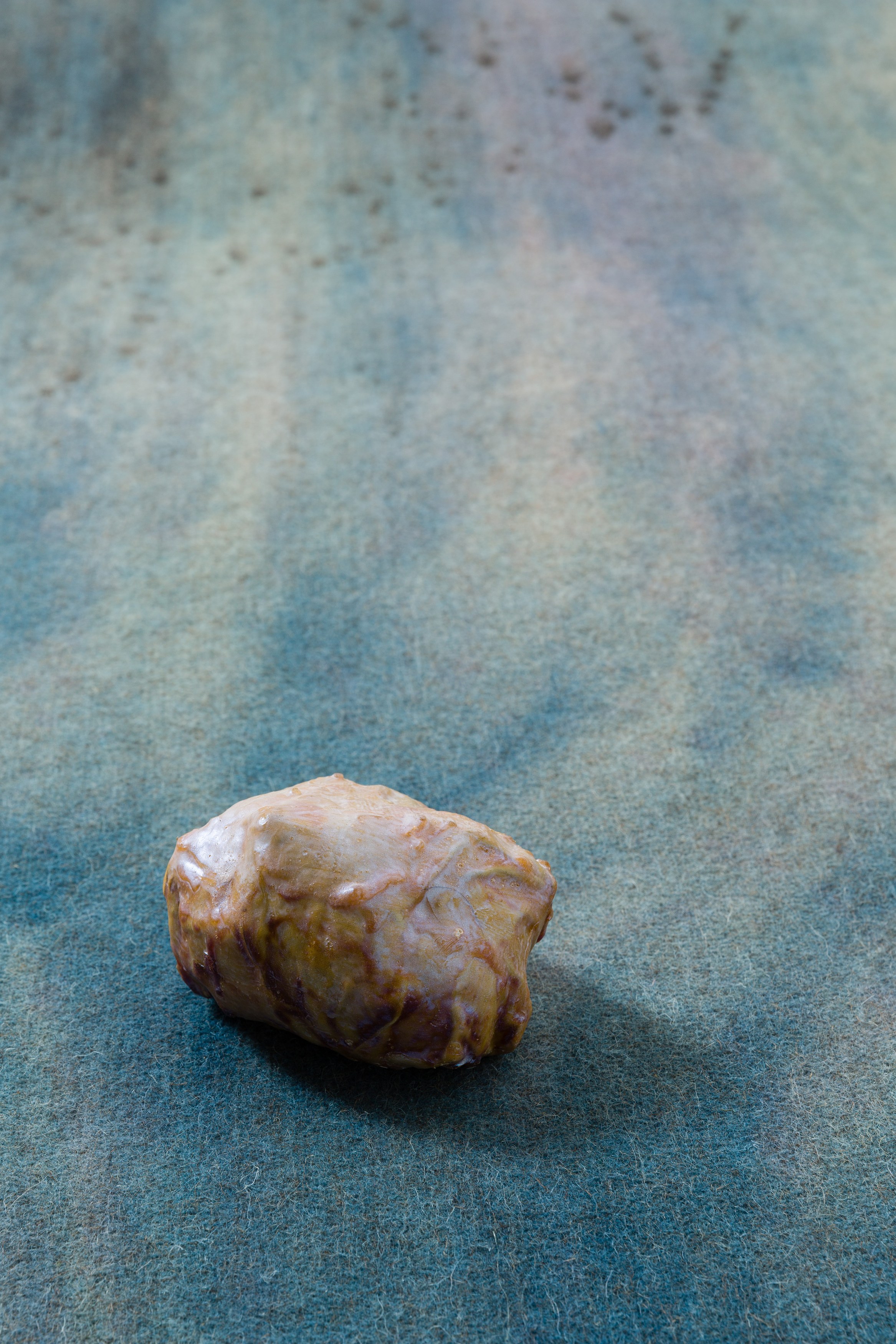 Heidi Bucher, Shimabuku, Phillip Zach, Supple Expansions at Freedman Fitzpatrick, photo 36