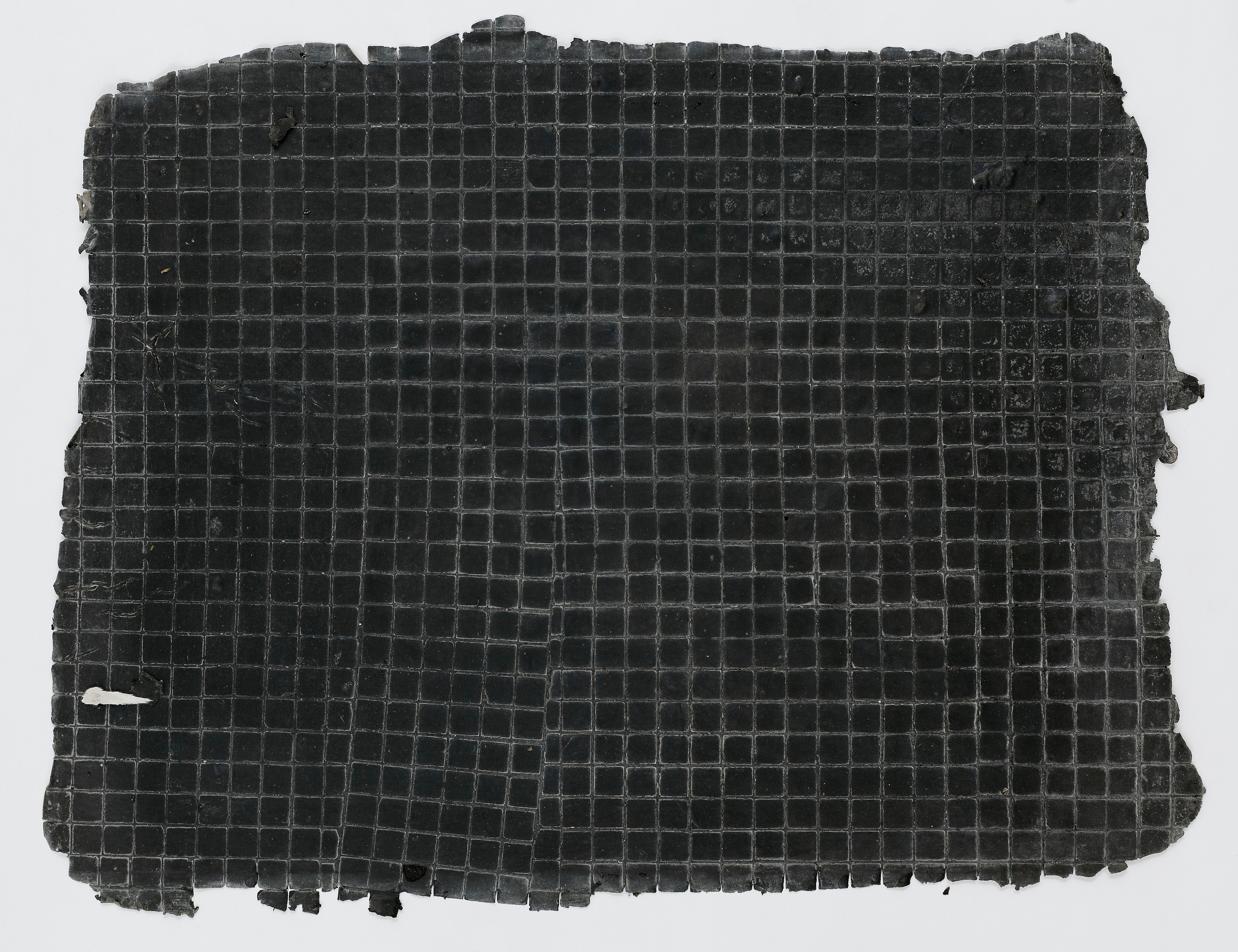 Heidi Bucher, Shimabuku, Phillip Zach, Supple Expansions at Freedman Fitzpatrick, photo 40