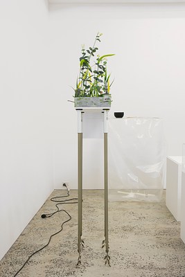 Image 1 of 100