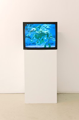 Image 6 of 7