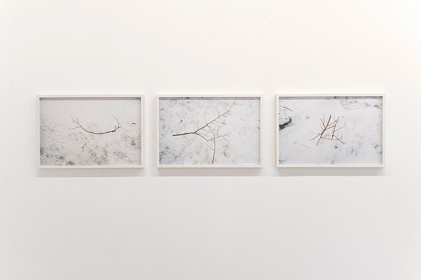 Image 7 of 7