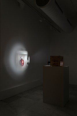 Image 7 of 17