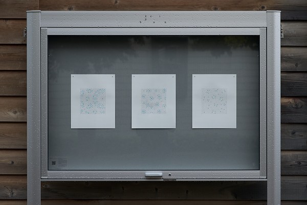 Image 4 of 19