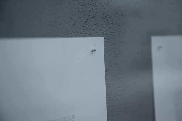 Image 15 of 19