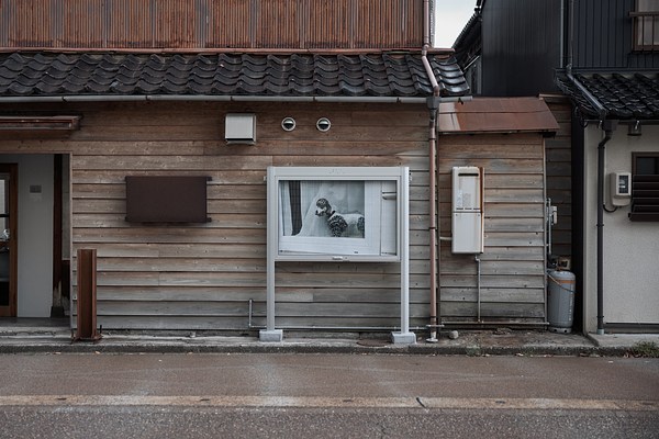 Image 10 of 14