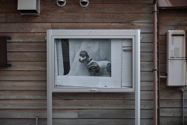 Image 11 of 14